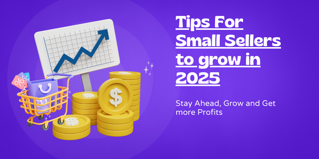 Five Tips for Small Sellers to Grow in 2025 with QuicShop